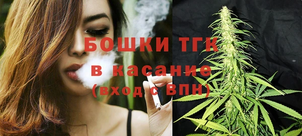 прущие грибы Горнозаводск