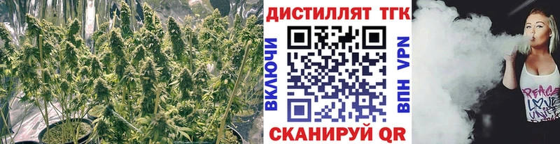 Купить где  Буинск  ТГК Wax 