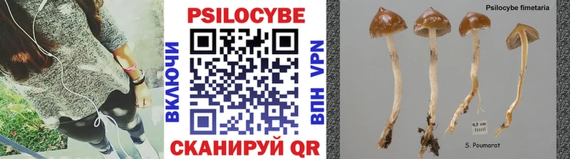 Купить где  Буинск  Галлюциногенные грибы ЛСД 